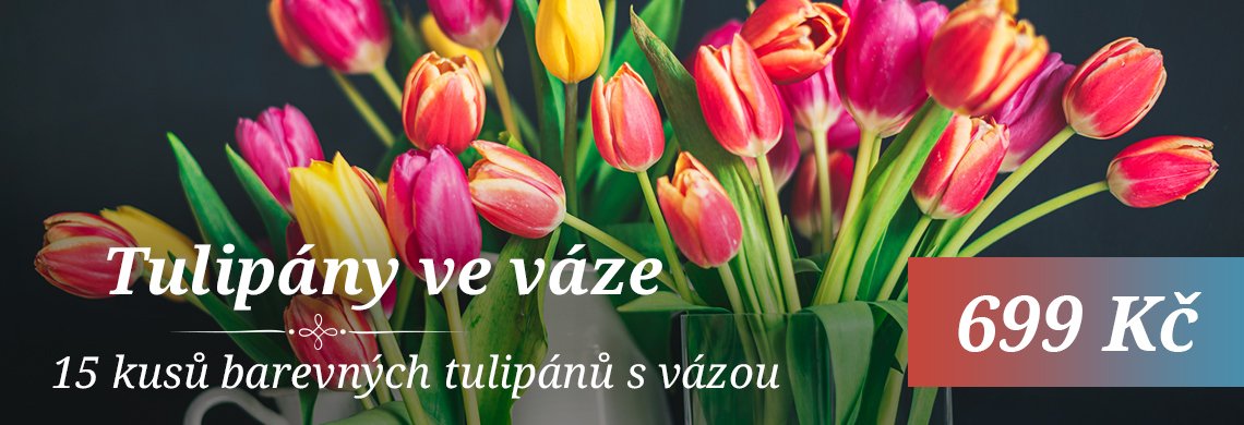Tulipány ve váze | Květiny U Šatlavy